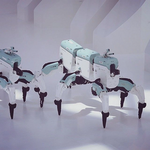 Deus centipede p.webp